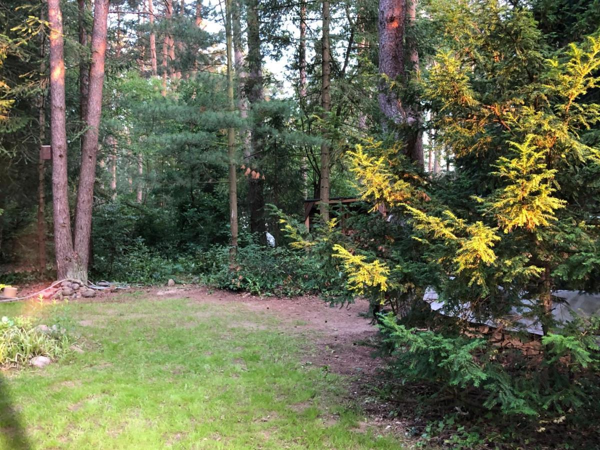 Ferienhaus Reetdach 1300Qm Privatgrundstueck Bootssteg Sauna Templin Luebbesee Uckermark Erholung Pur Seenplatte Petersdorf  Kültér fotó