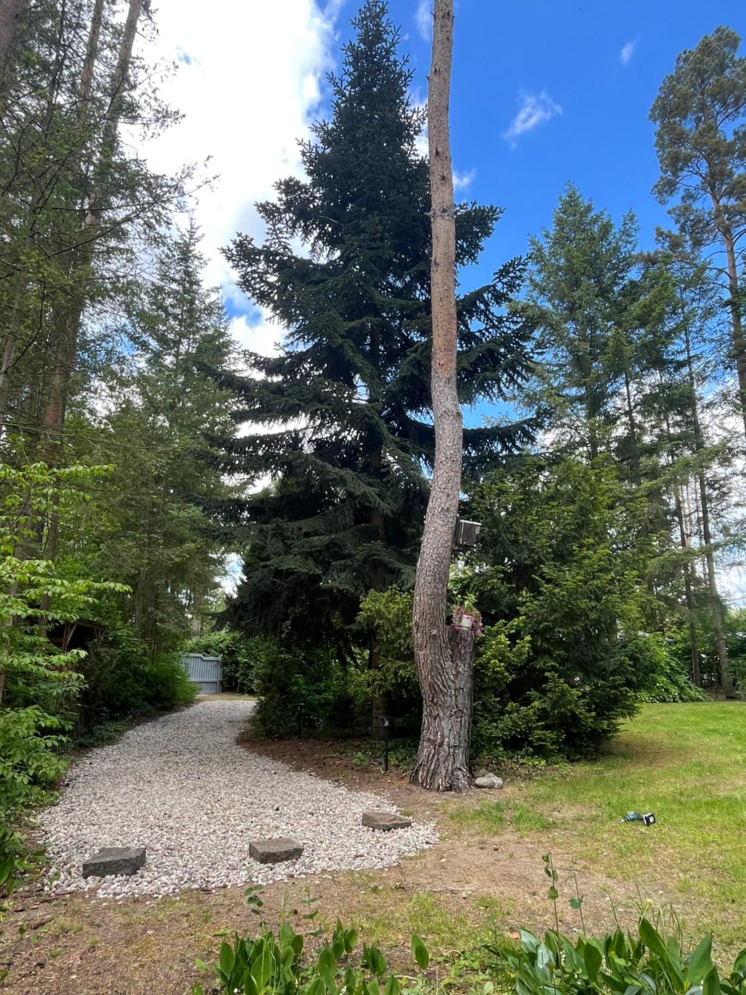 Ferienhaus Reetdach 1300Qm Privatgrundstueck Bootssteg Sauna Templin Luebbesee Uckermark Erholung Pur Seenplatte Petersdorf  Kültér fotó
